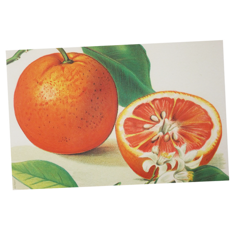 Place Mats